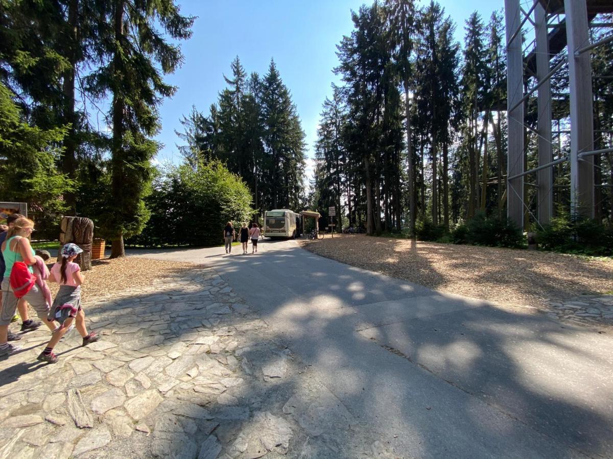 Apartmany Lipno 46 Липно над Вълтава Екстериор снимка